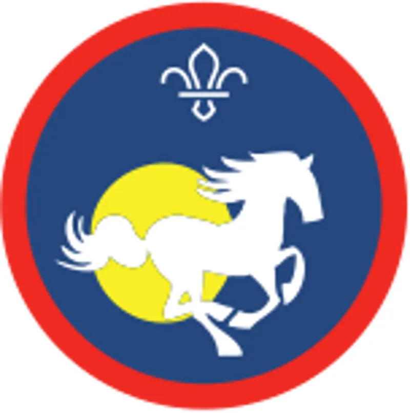 Scout Equestrian